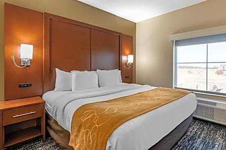 1 King Bed  Suite  No Smoking  Accessible Room