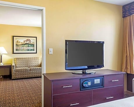 1 King Bed, Efficiency, Suite, Nonsmoking, Accessible