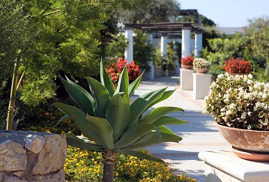 Hotel Al Mulino - Mediterranean Garden Retreat in AnaCapri