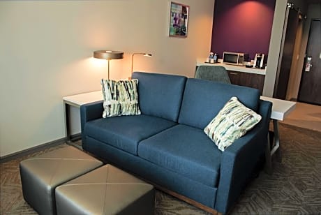 1 King Bed 1 Bedroom Suite