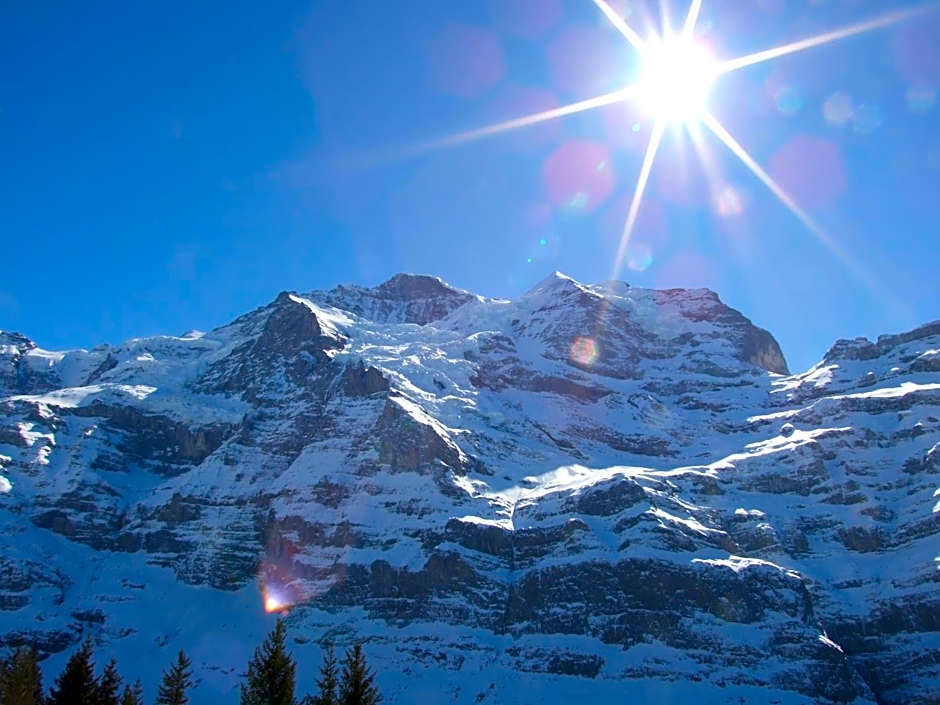 Hotel Bellevue - Traditional Swiss Hideaway