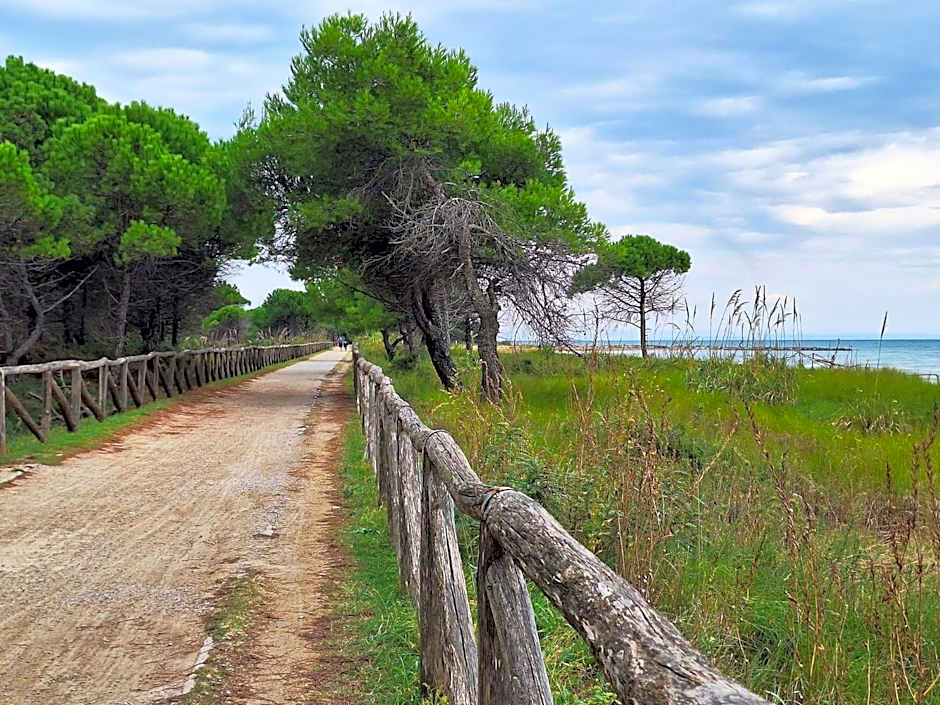 Modern flat with garden - Beahost