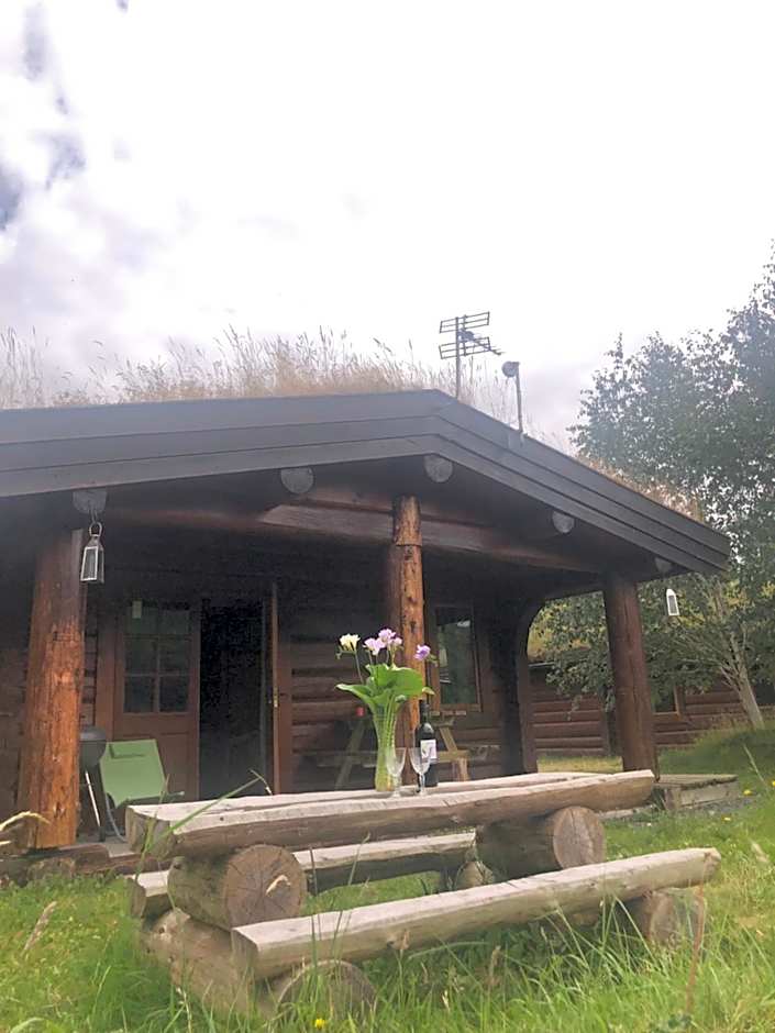 Log home village