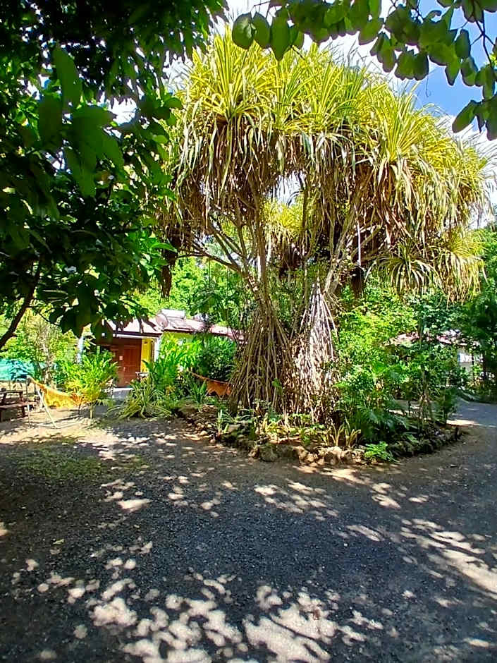 Résidence Les MANGUIERS OTANTIK