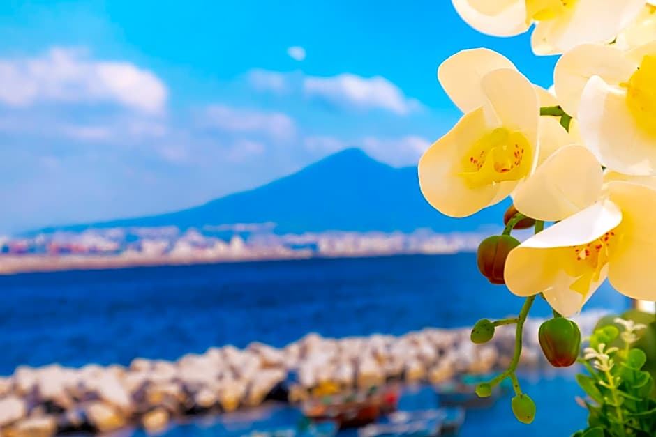 Le Meraviglie Di Napoli