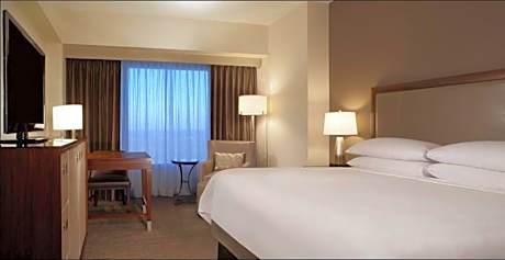 One-Bedroom Suite