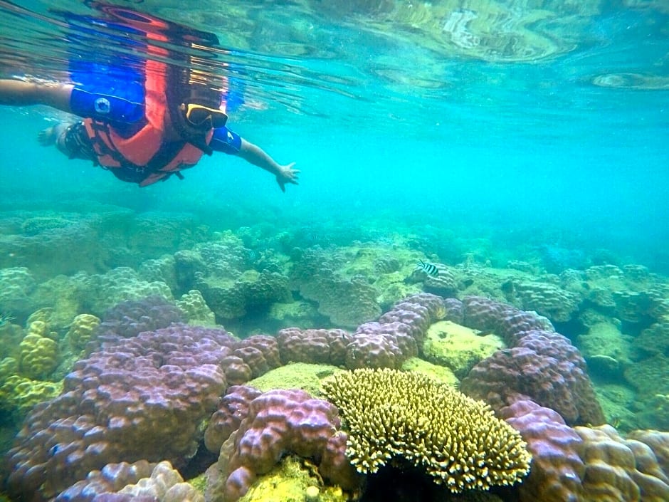 Baanchanlay Kohchang