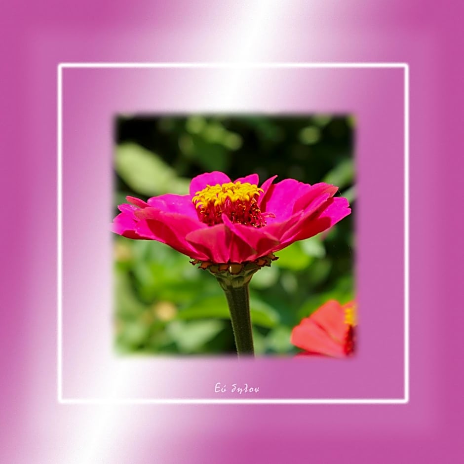 Ikaria Utopia - Cusco Studios