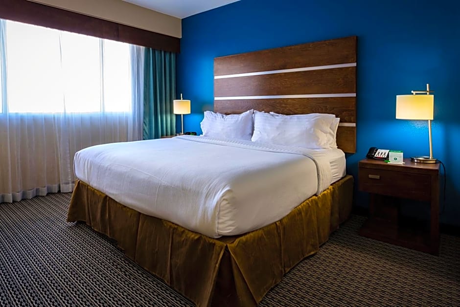 Holiday Inn Houston Downtown By IHG