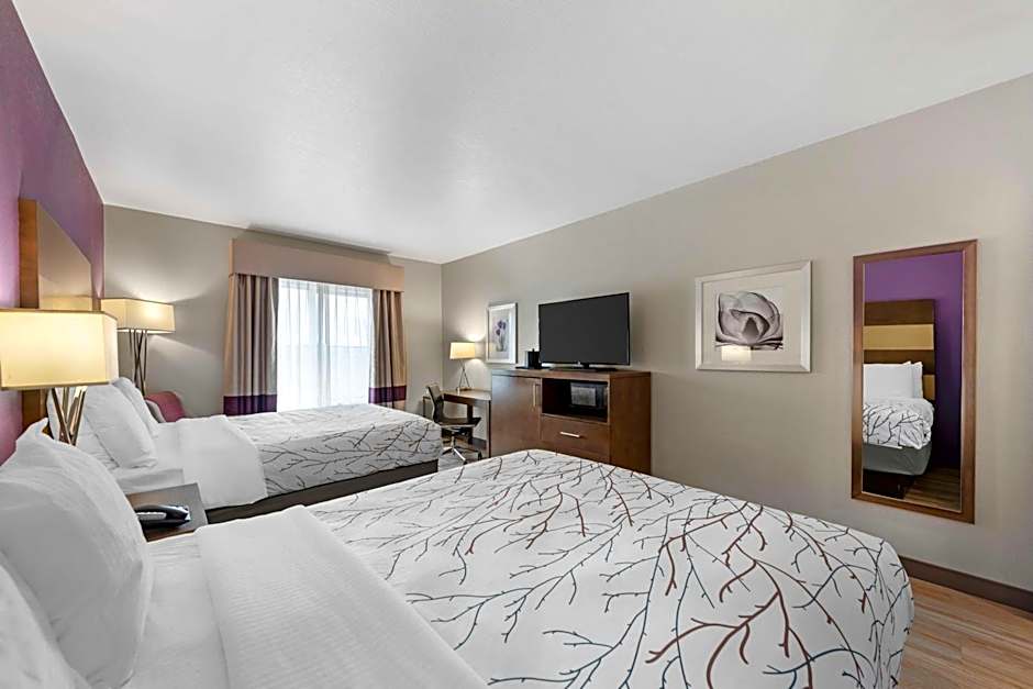 Best Western Plus Buda Austin Inn & Suites