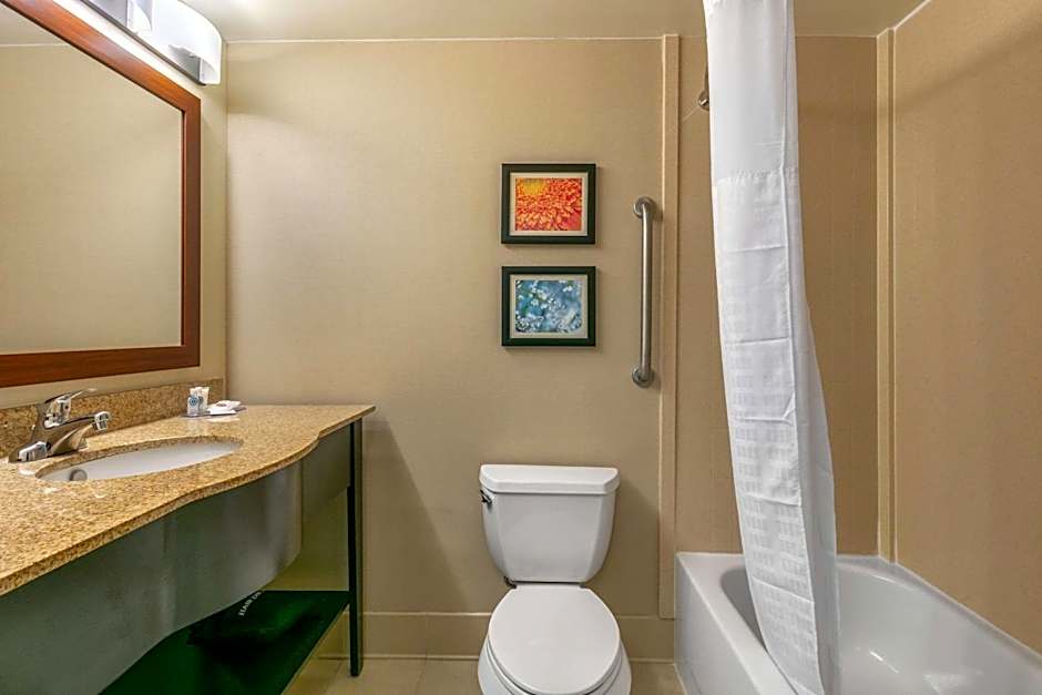 Comfort Inn & Suites Nashville Franklin Cool Springs