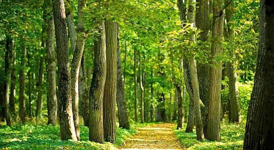 Breaffy House Hotel and Spa