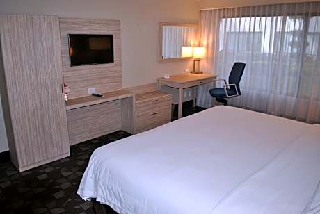 1 King Bed Leisure Non-Smoking
