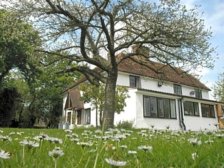 The White House