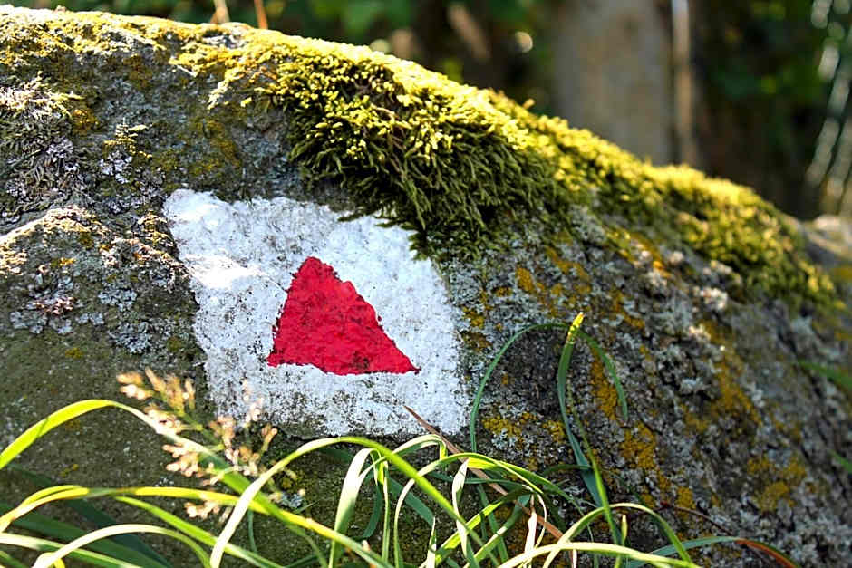 Flair-Hotel Waldfrieden