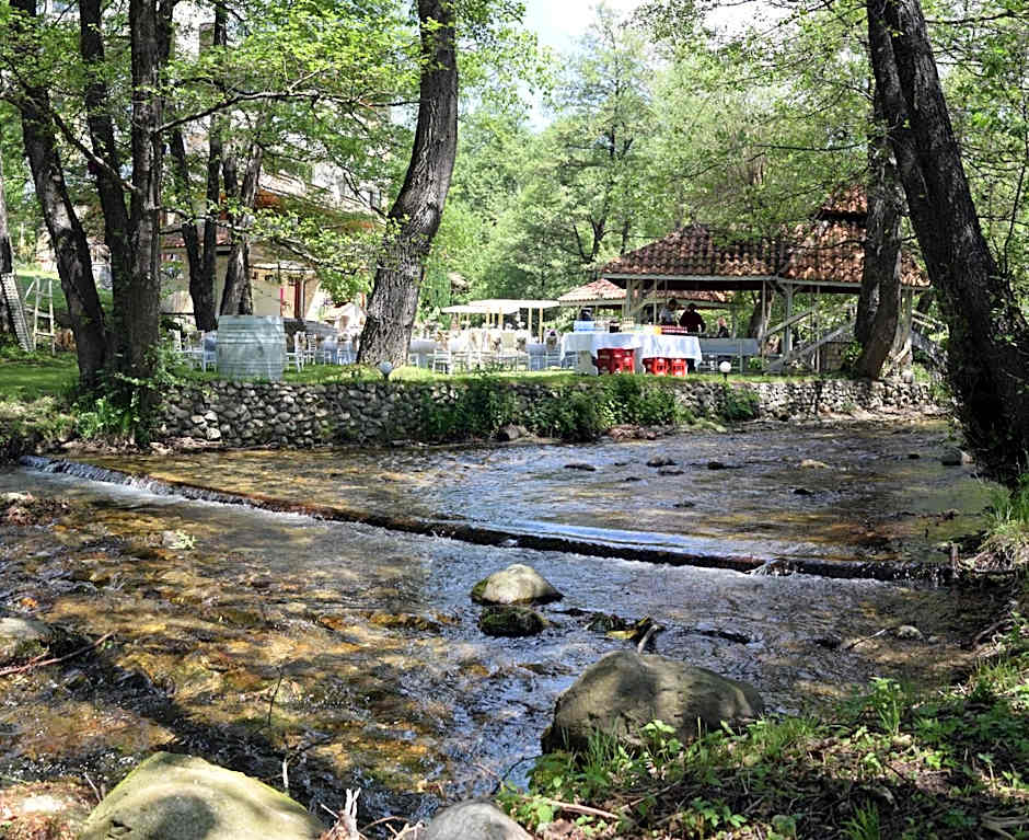 Hotel Paradise Place