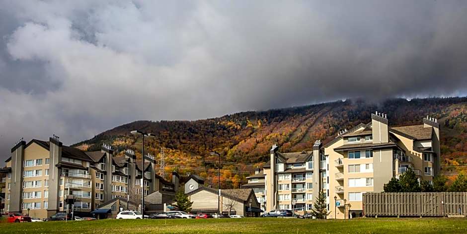 Hébergement Mont-Ste-Anne Condos