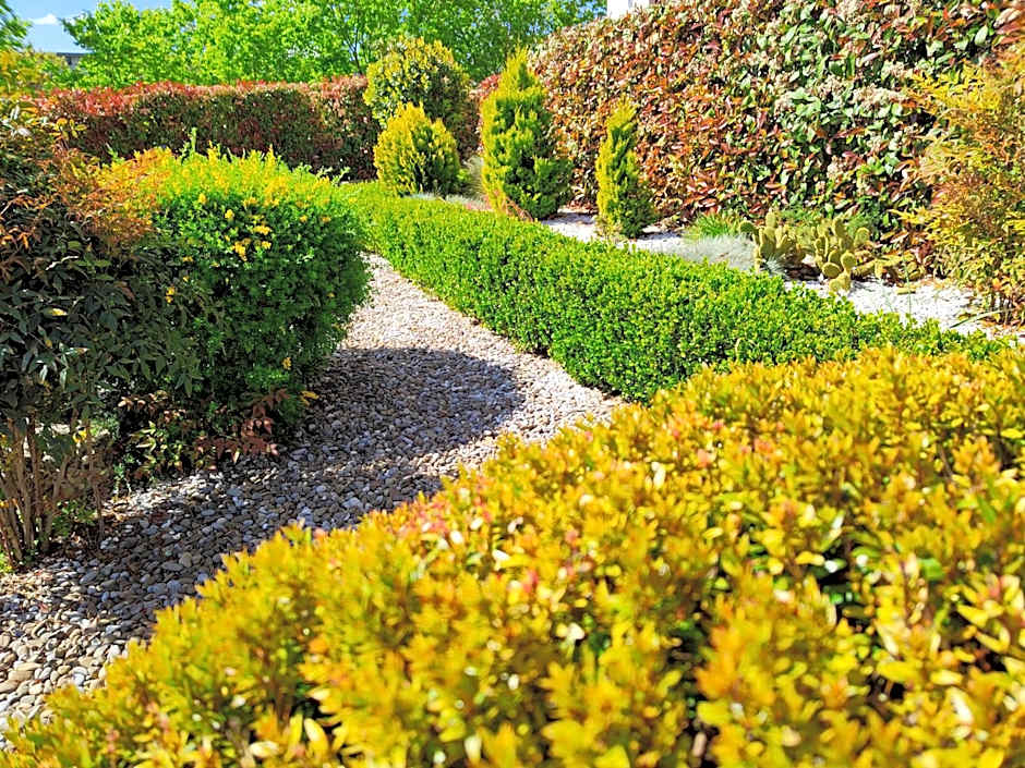 Mamma Puglia Suite & Breakfast