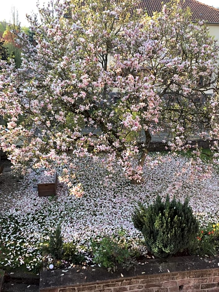 Chambres d'hotes " Le Magnolia "