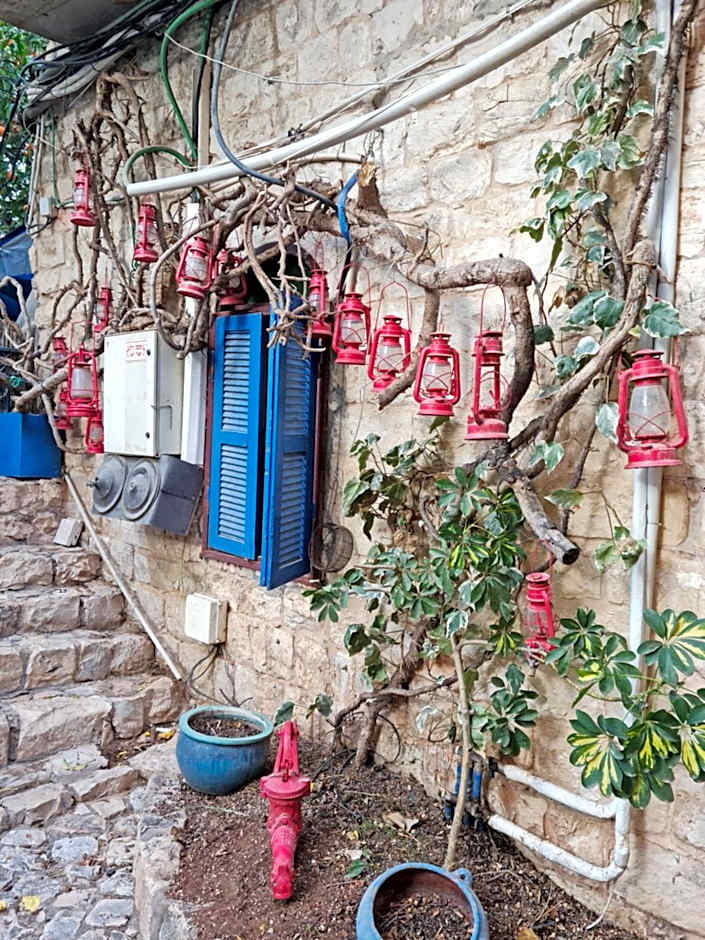 וילה תהילה המחודש - The new Villa Tehila