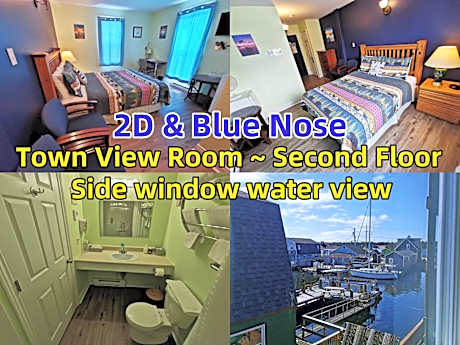Town View Room - side window water view - Blue Nose & 2D