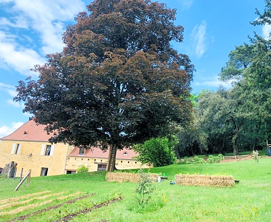 L'écrin des symes