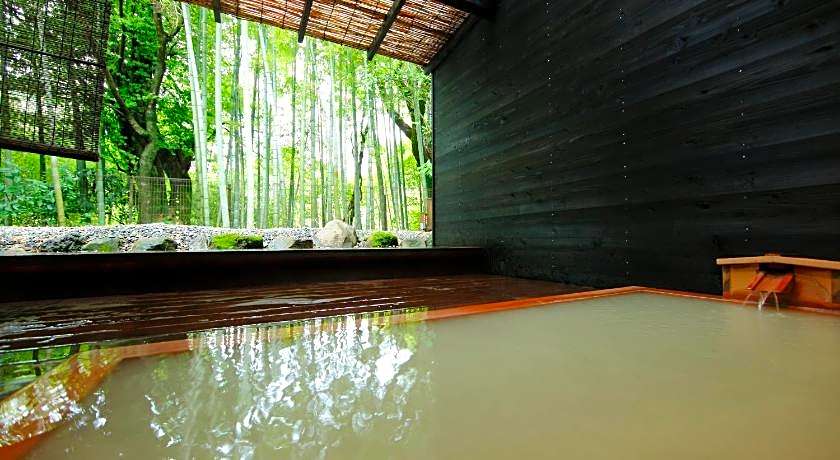 Mount View Hakone Ryokan