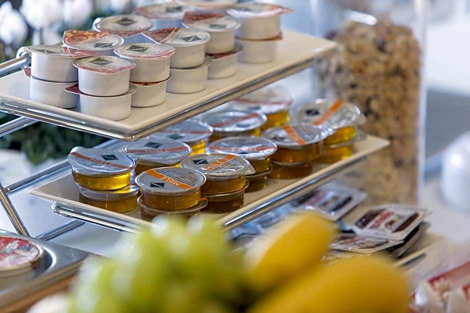 Hotel Palace del Conero