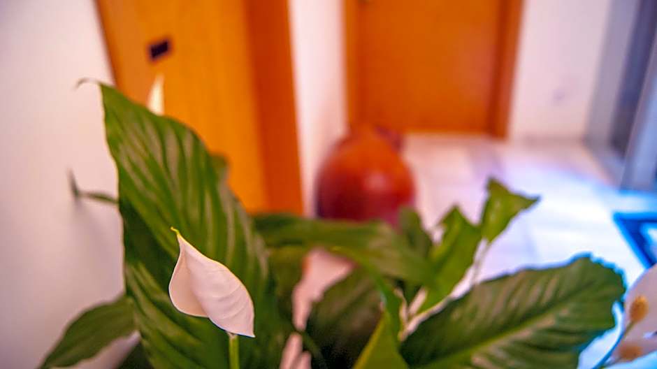 Sweet Sevilla Suites