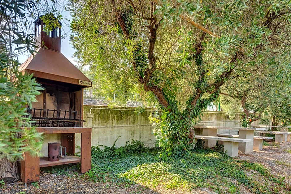 Tenuta di Palú