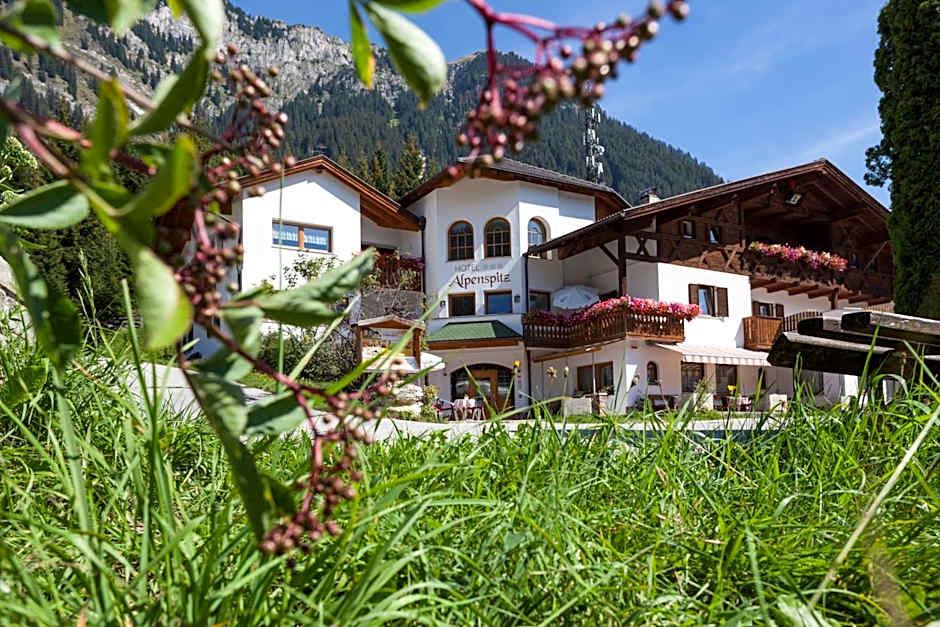 Alpenspitz Appartements - Garni - B&B