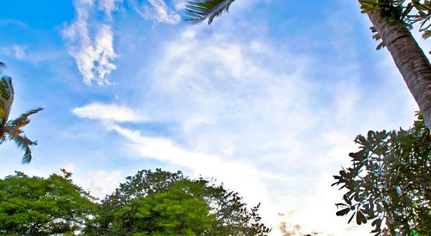 Hotel Palm Garden Bali