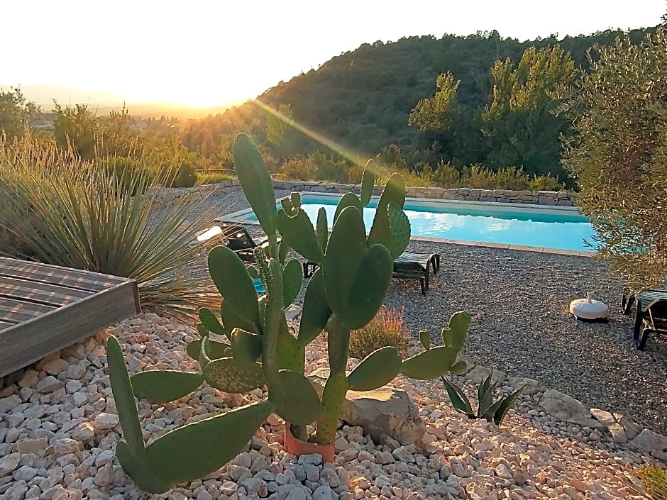 Les agaves piscine panoramique vue exceptionnelle