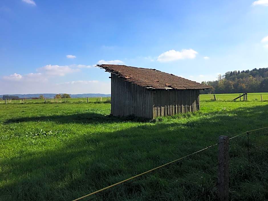 Hotel Bayernwinkel - Yoga & Ayurveda