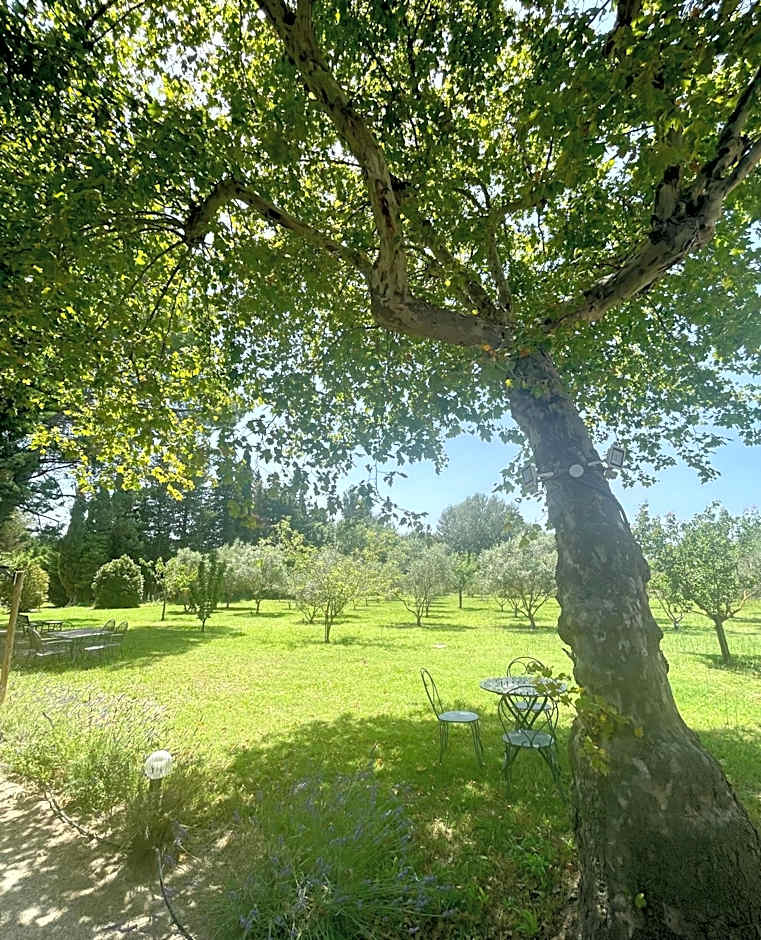 Domaine Au Coeur des Alpilles