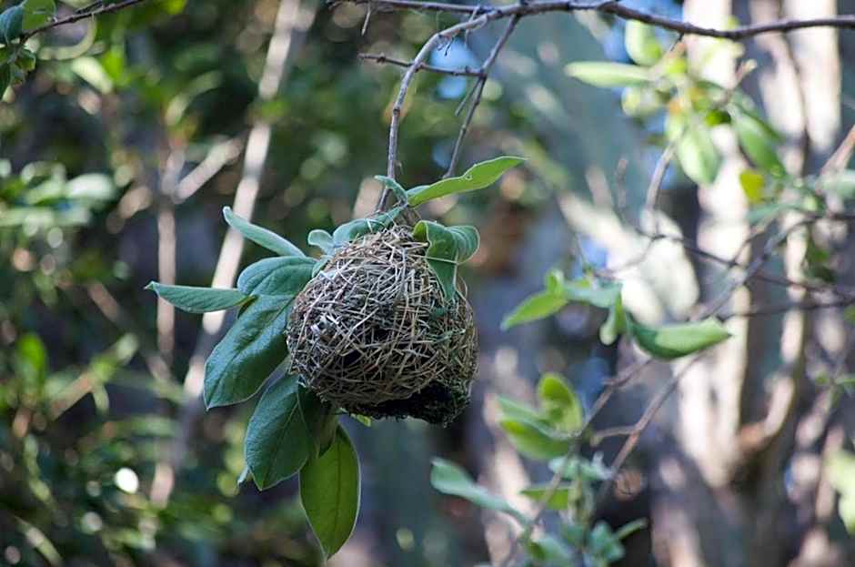 Tuskers Bush Lodge B&B