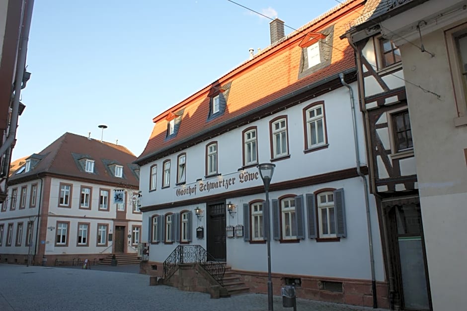 Hotel Schwartzer Löwe