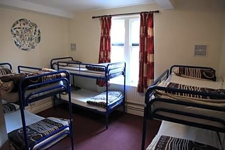 Bed in 8-Bed Mixed Dormitory Room