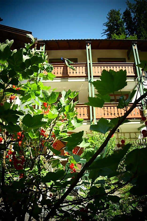 Naturidyll Hotel Hammerschmiede