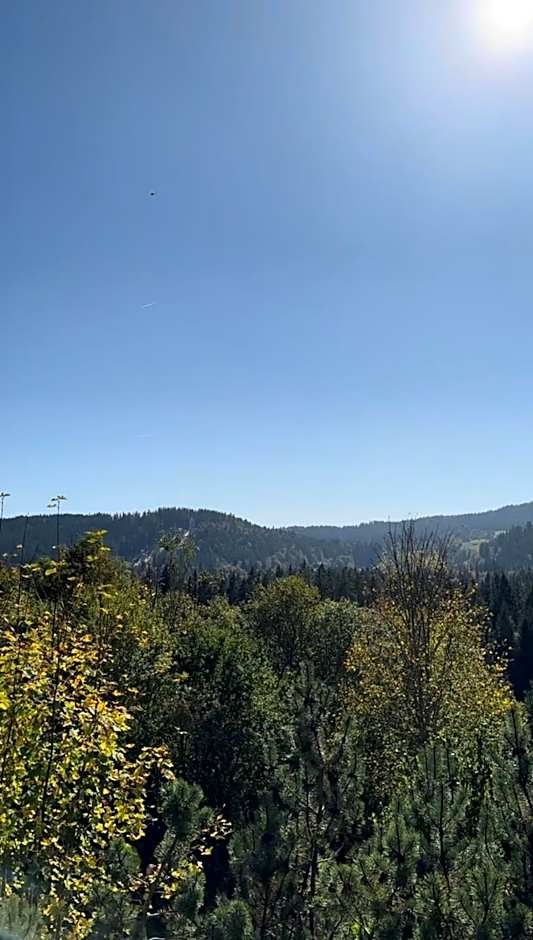 stuub hinterzarten