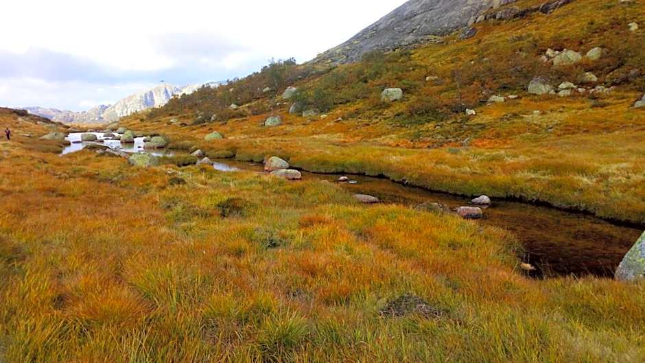 Sirdal Høyfjellshotell