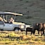 Addo Elephant Safari Lodge - Bellevue Forest Reserve