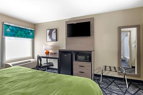 1 King Bed Nonsmoking Accessible