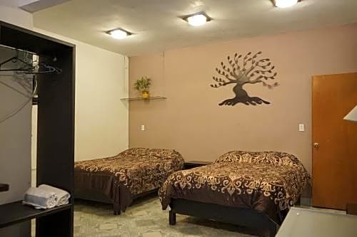 Telpochcalli Hotel & Temazcal