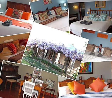 Top House Bed and Breakfast