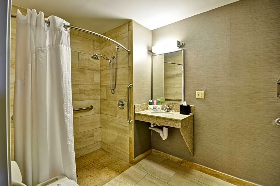 Holiday Inn Express Romulus / Detroit Airport By IHG