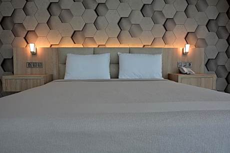Large Single Room