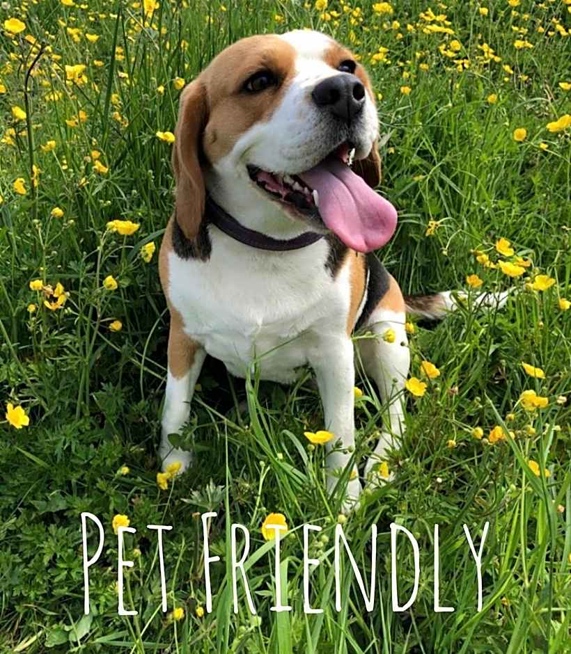 Tattershall Lakes Mini Breaks - Osprey Rise