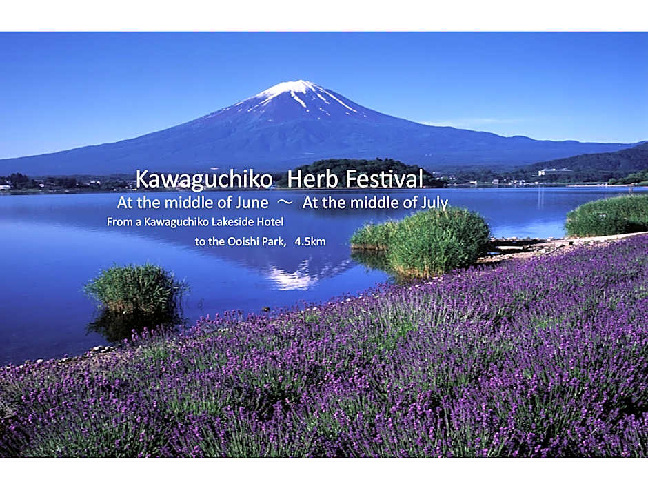 Kawaguchiko Lakeside Hotel