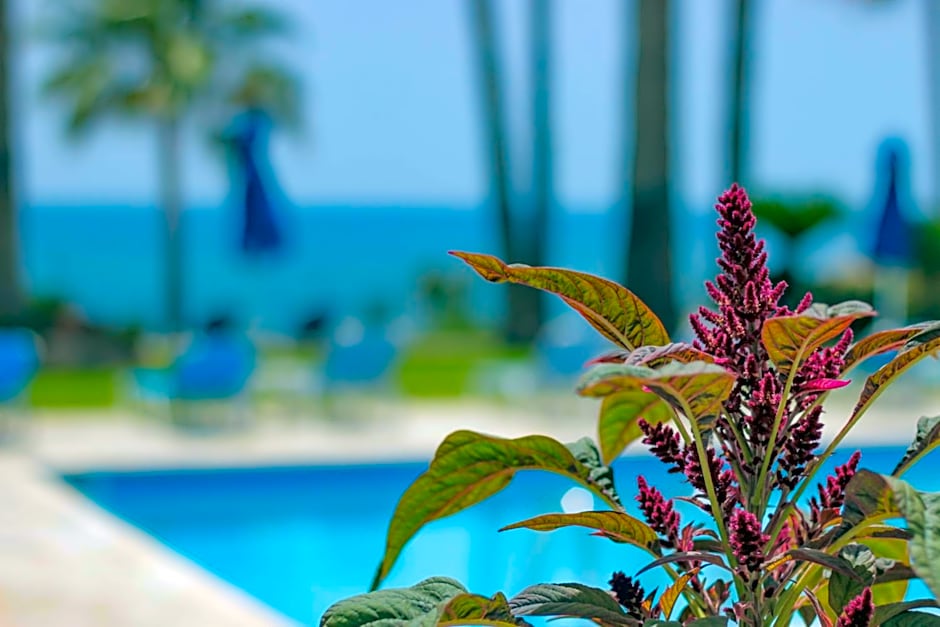 Rododafni Beach Apartments